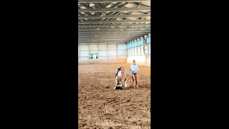 Тинкер hard rock hallelujah