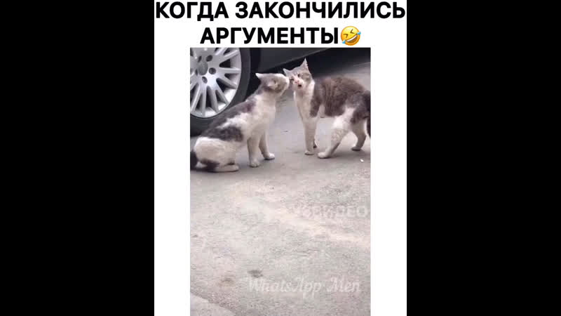 Когда закончились аргументы