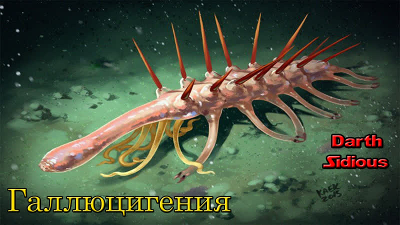 Evolution porn video – Развитие жизни на земле (the evolution of life) галлюцигения (hallucigenia)
