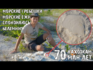 Позднемеловые окаменелости окрестностей села подвалье