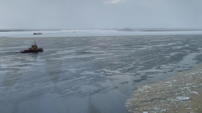 К берегу спешат пароходы