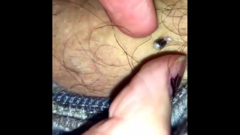 Огромный угорь