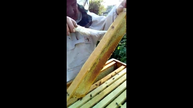 Бережно и нежно 01