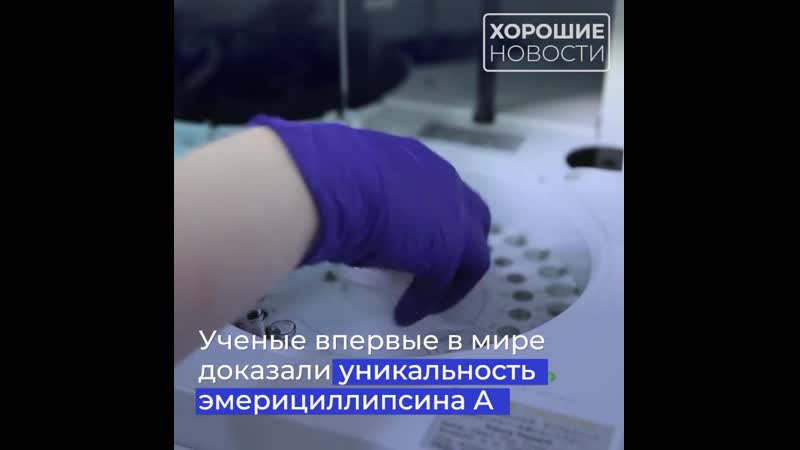Ученые из тюмени открыли революционный природный антибиотик