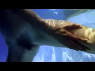 Эммануэль в америке emanuelle in america (1977)