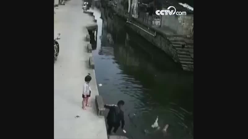 Хороший хруст
