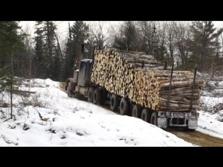 Peterbilt 359 classic big hill