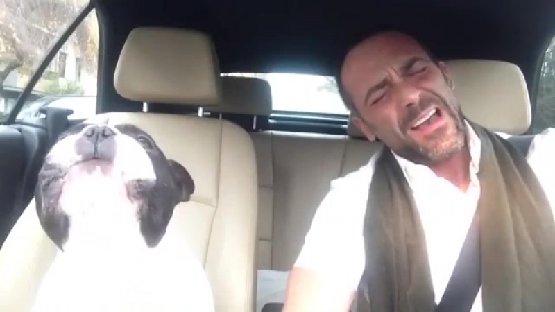 Пёс душевно подпевает