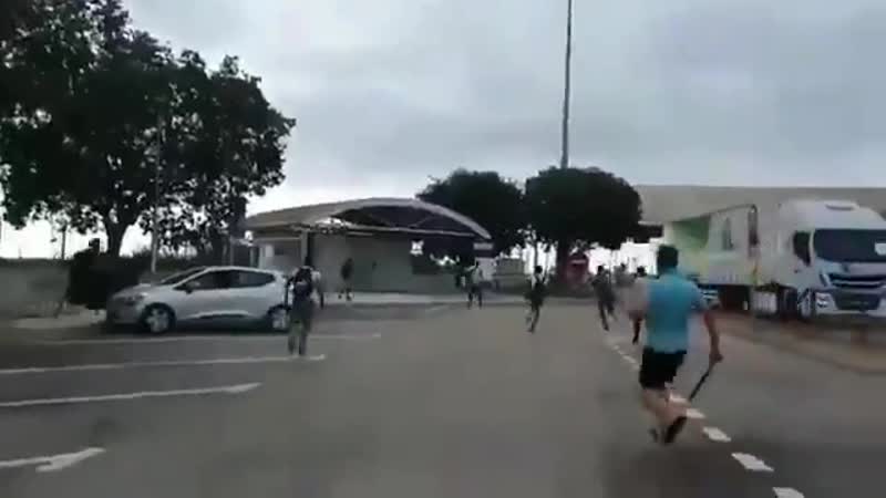 Чёрные зайцы