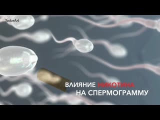 Влияние никотина на спермограмму