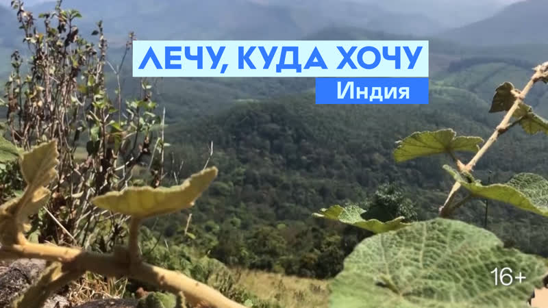 Лечу, куда хочу | индия