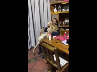 Feeding time время кормления