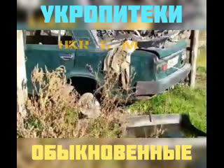 Укропитеки обыкновенные