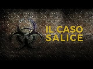 Дело саличе (2020) il caso salice (salice's case)