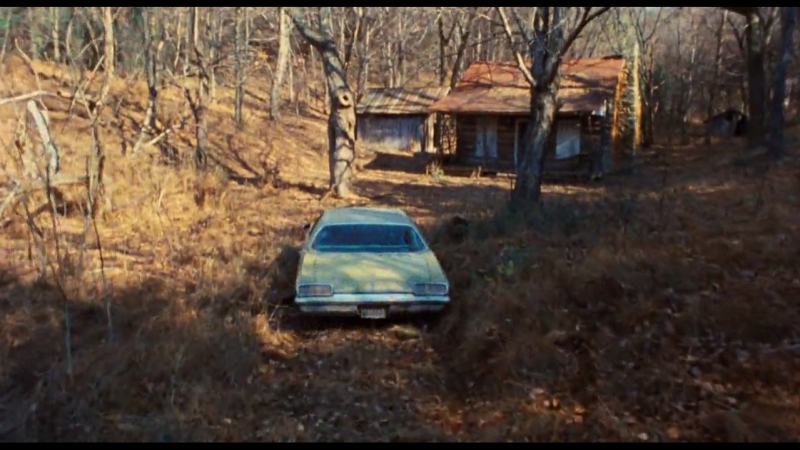 Зловещие мертвецы (1981)