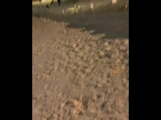 Kras sunny 20191213 4 mp4