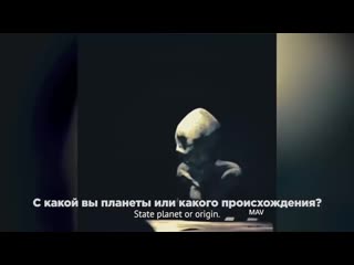 Допрос инопланетянина в сша в зоне 51 the interrogation of the alien in area 51