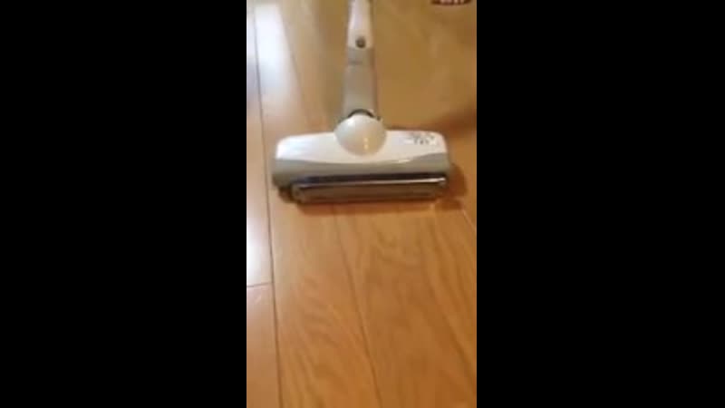 Пылесос и губная гармошка