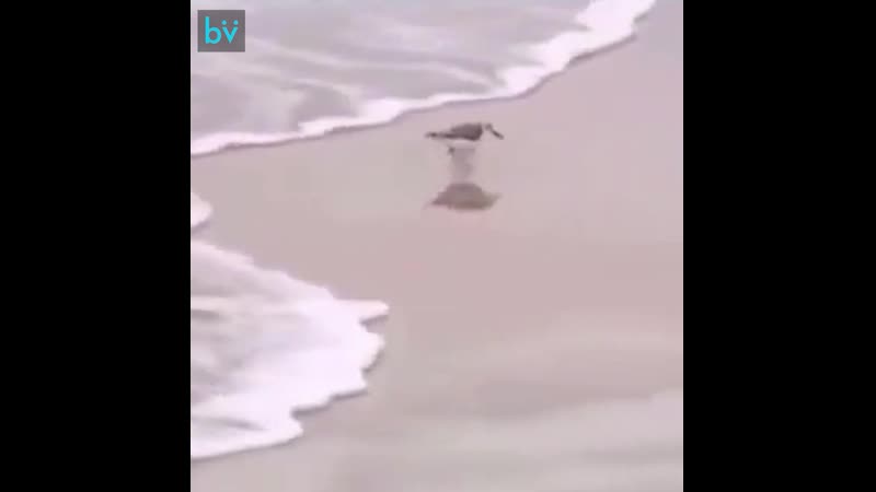 Когда жену позвал к столу