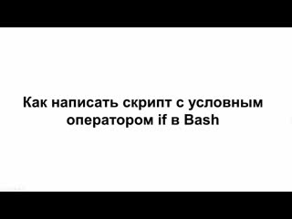 Linux12 как использовать условный оператор if в скриптах bash