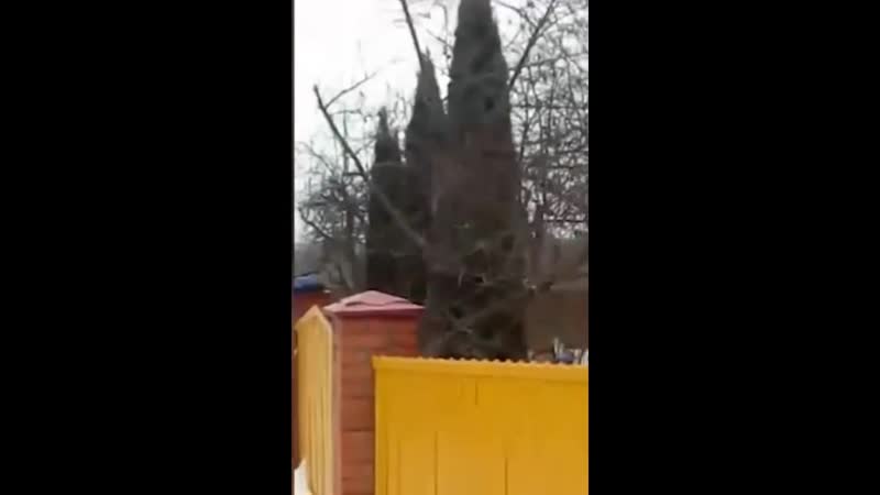 В подмосковной коломне упал легкомоторный самолет, погибли 2 человека