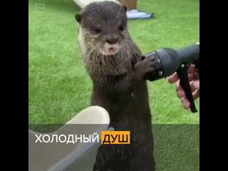 Душ утром24