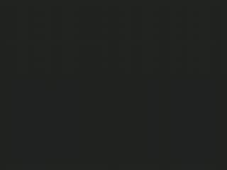 Leighton meester is on with alexa chung