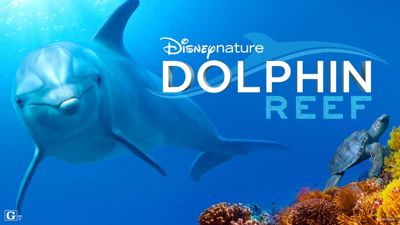 Reef porn video – Дельфиний риф / dolphin reef (2020) [rus]