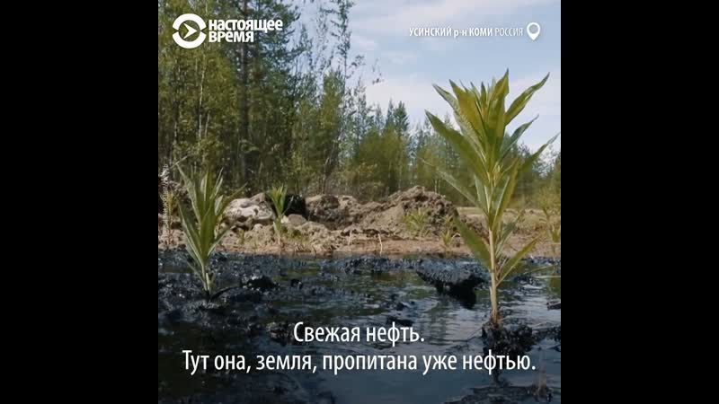 Признаки жизни нефть