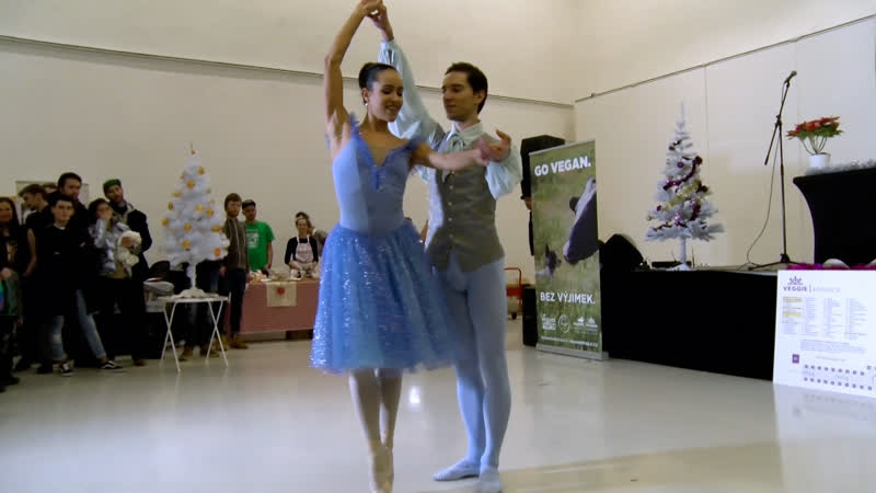 Веганство на пуантах – история пары балетных танцоров фильм наташи киршиной