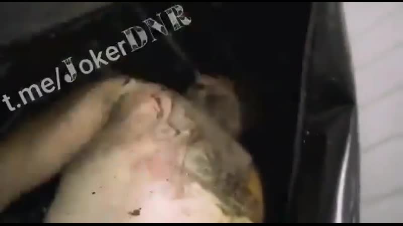 21+ російські окупанти понівечили тіло загиблого військового медика