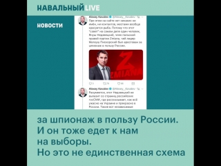 Фейковые иностранные наблюдатели