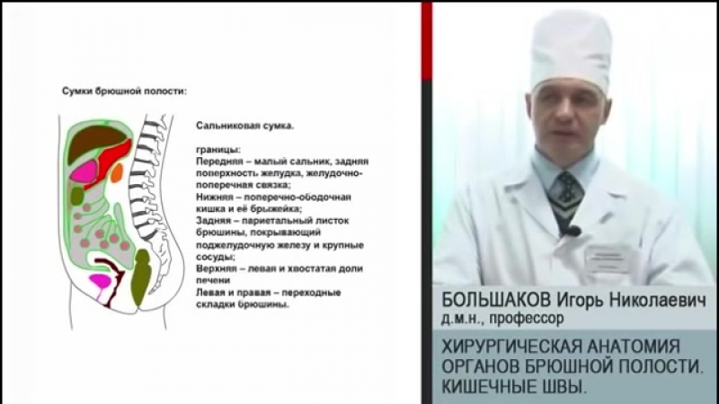 Хирургическая анатомия органов брюшной полости кишечные швы