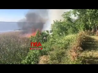 Сейчас в витязево, горит лиман