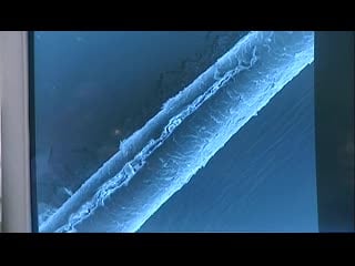 Beauty parlour (2007)