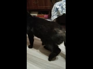 Video 20210303 230125 mp4