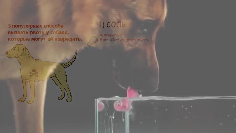 3 популярных способа вызвать рвоту у молодые, которые могут ей навредить