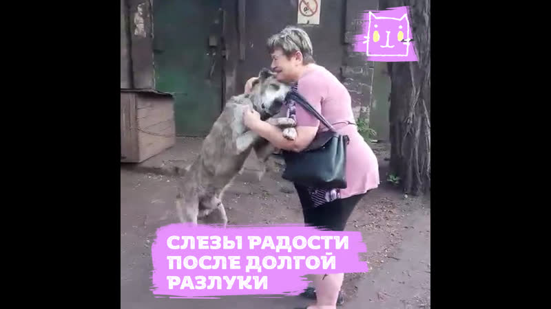 Потерявшийся 18 года назад алабай вернулся домой