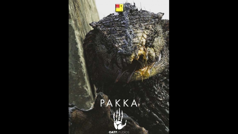 Оатс часть 1 ракка (2017) oats volume 1 rakka