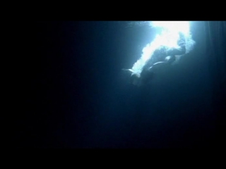 Yellowcard rough landing, holly