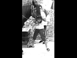 Частная конюшня идальго лазаревское,солоники;будни