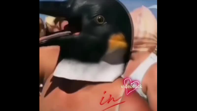 Хагги ваги стайл