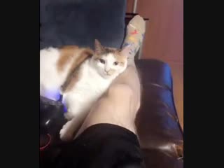 Кусь (vhs video)