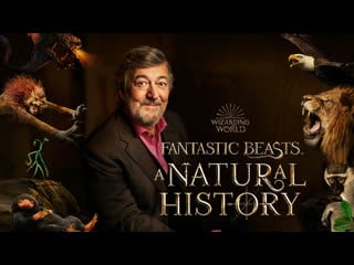 Фантастические твари естественная история (2022) fantastic beasts a natural history