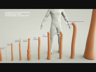 Porn penises size comparison