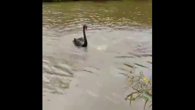 Ревнивый муж))