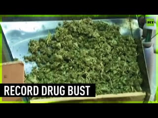 Record breaking haul of marijuana seized in spain