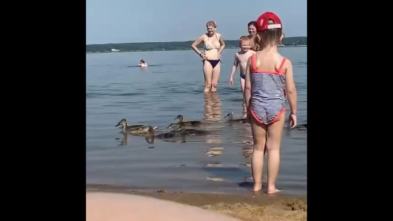 Уточки приплыли )