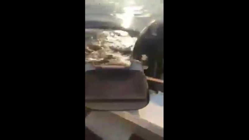 Австралийские рыбаки сачком отбились от запрыгивавшего в их лодку крокодила