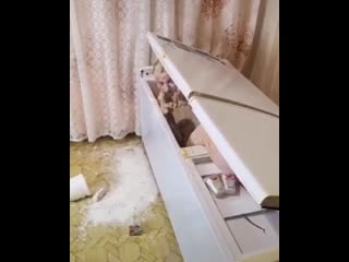 Денис, ты что, конченый?